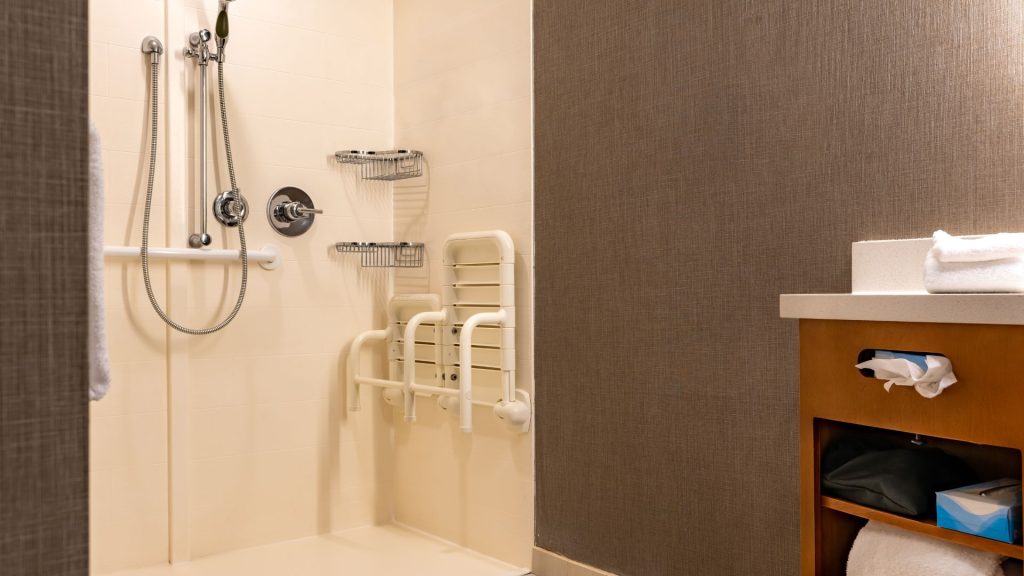 accessible bathroom renovation in Almonte